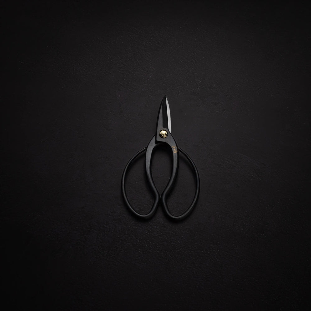 Bonsai makaze Takayuki