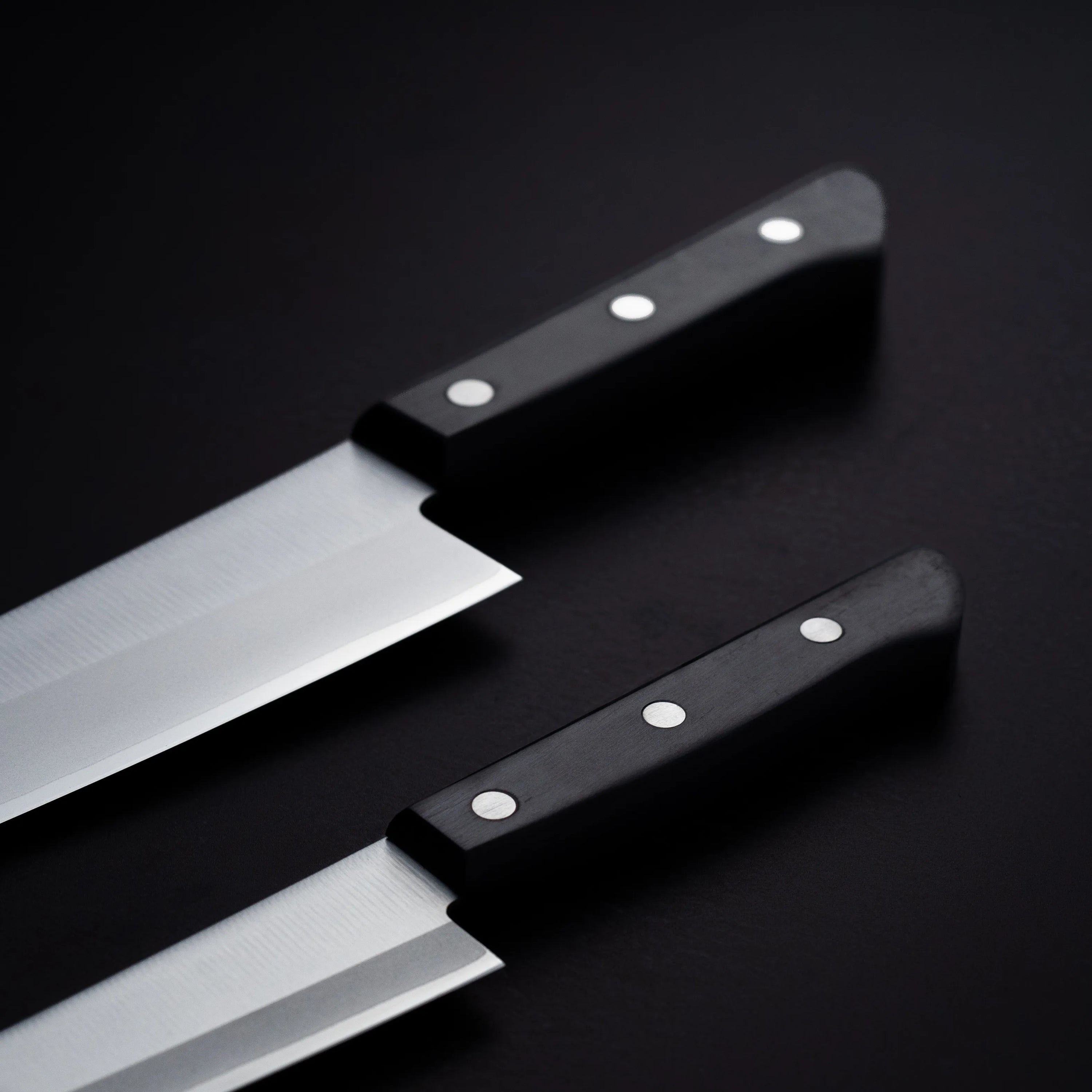 TOJIRO BASIC set - Gyuto and Petty