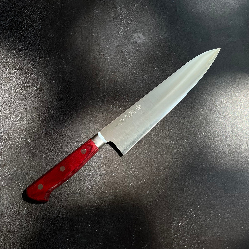 Takamura Migaki SG2 Gyuto 210mm 