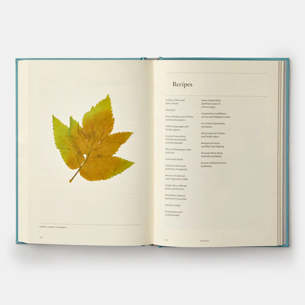 A Work in Progress: A Journal — René Redzepi