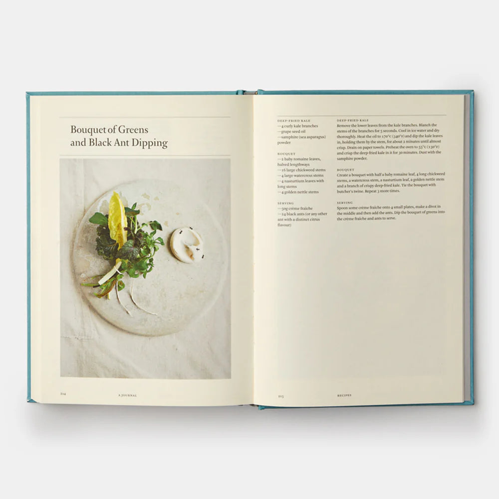 A Work in Progress: A Journal — René Redzepi
