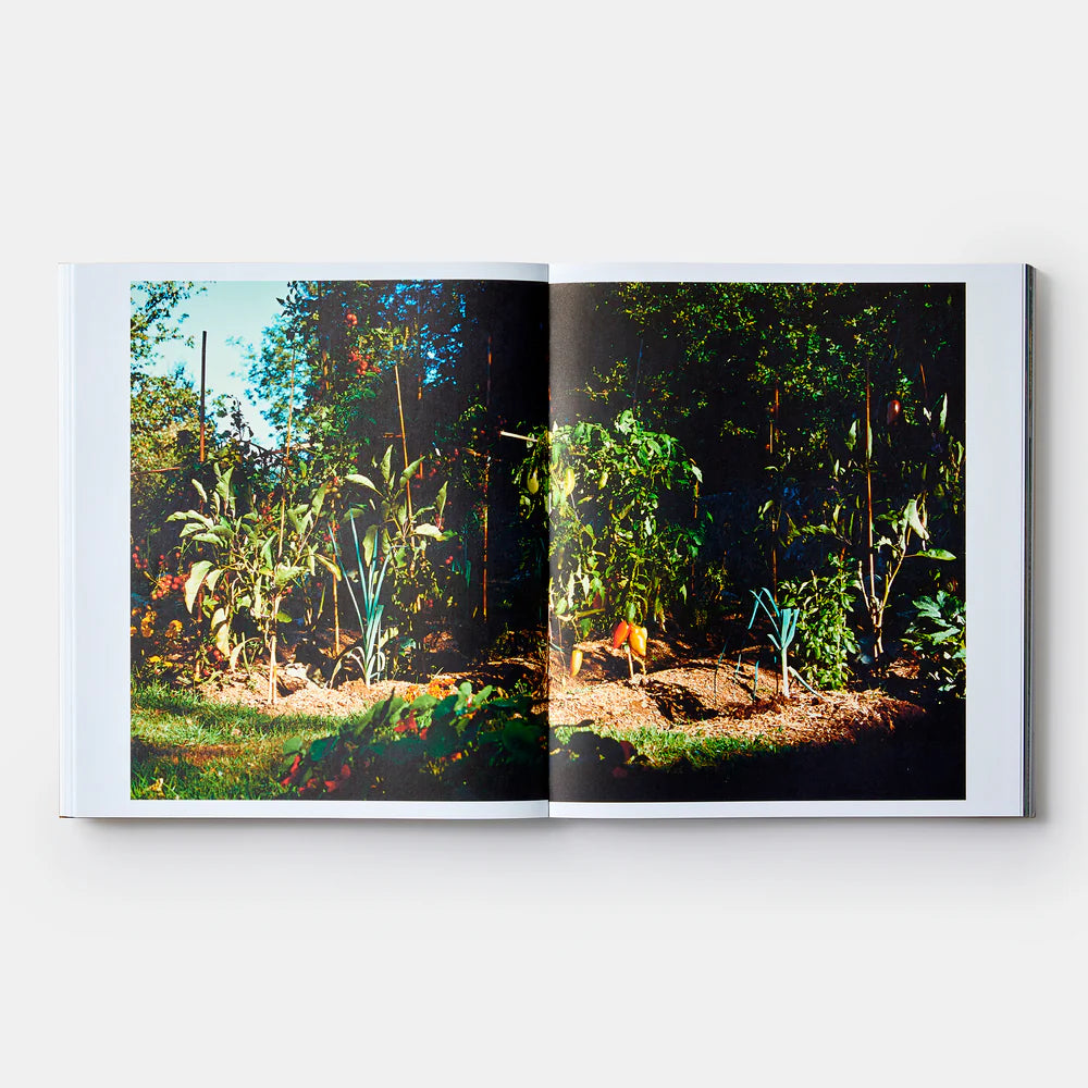 Septime: La Cave, Clamato, D'une île — Bertrand Grébaut and Théophile Pourriat, with Benoit Cohen