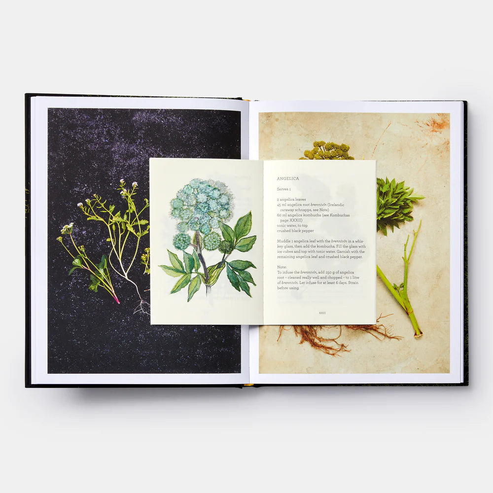 Slippurinn: Recipes and Stories from Iceland — Gísli Matt