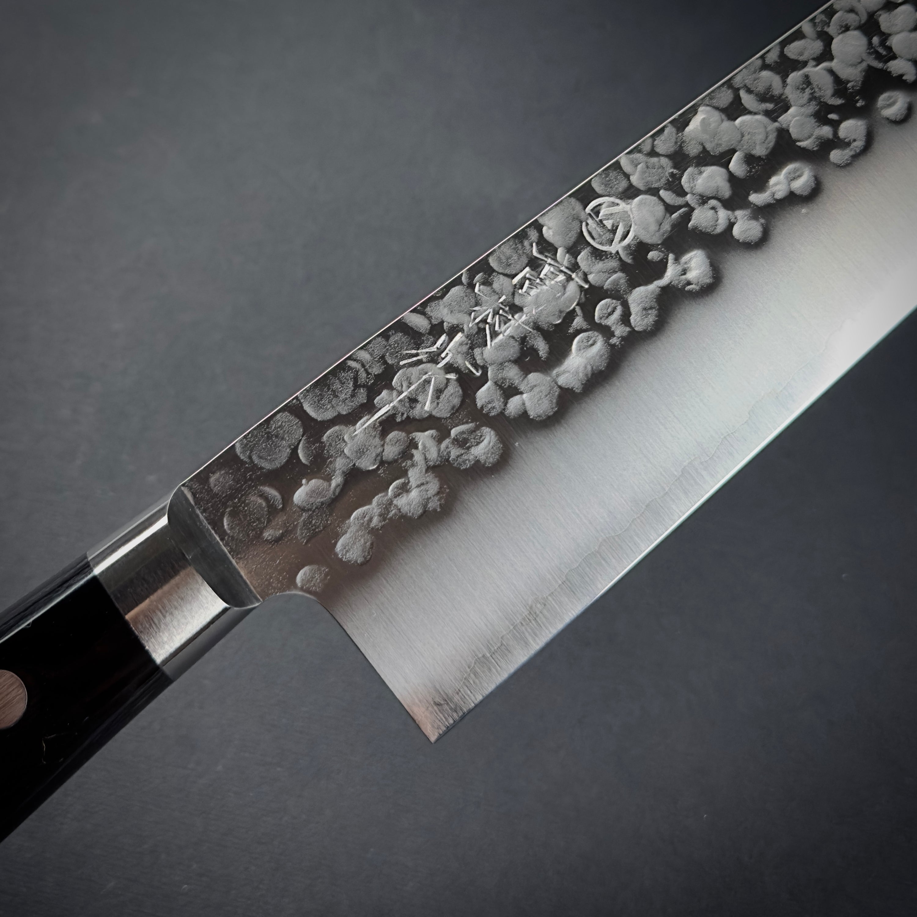 Takamura VG10 Tsuchime Gyuto 210mm 