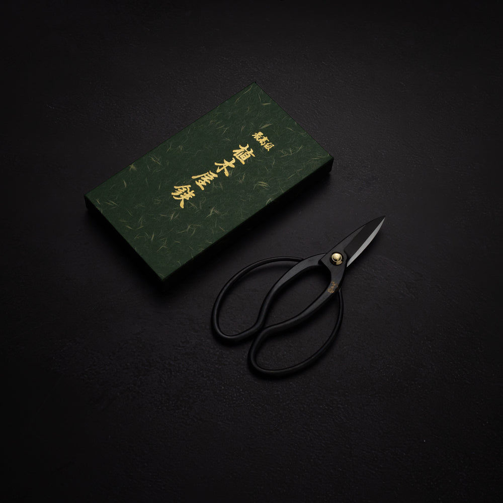 Bonsai scissors Takayuki