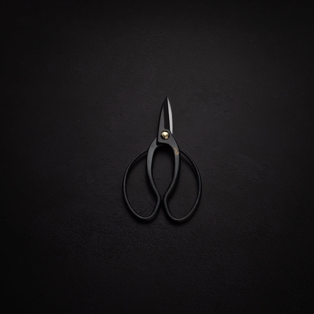 Bonsai scissors Takayuki