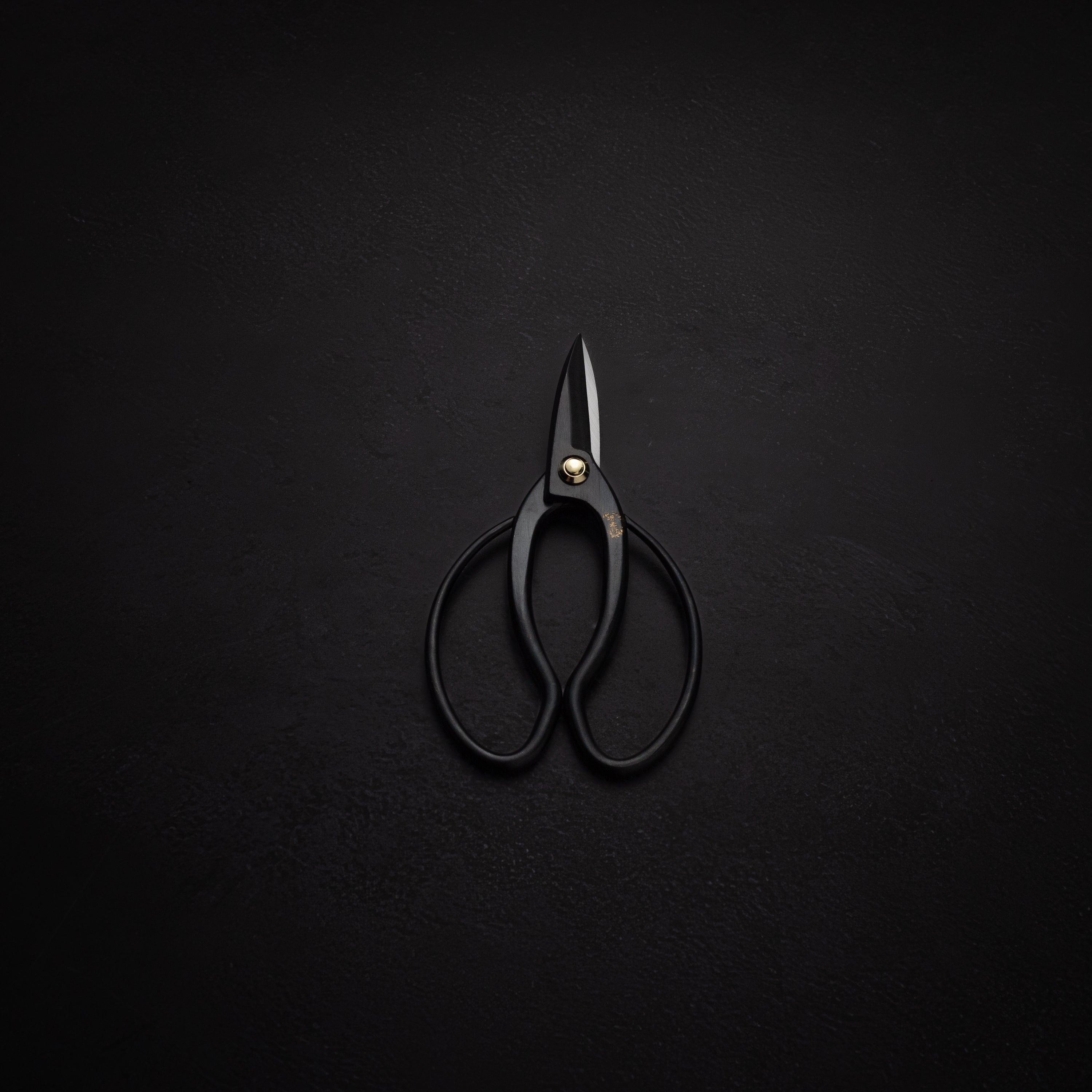 Bonsai scissors Takayuki