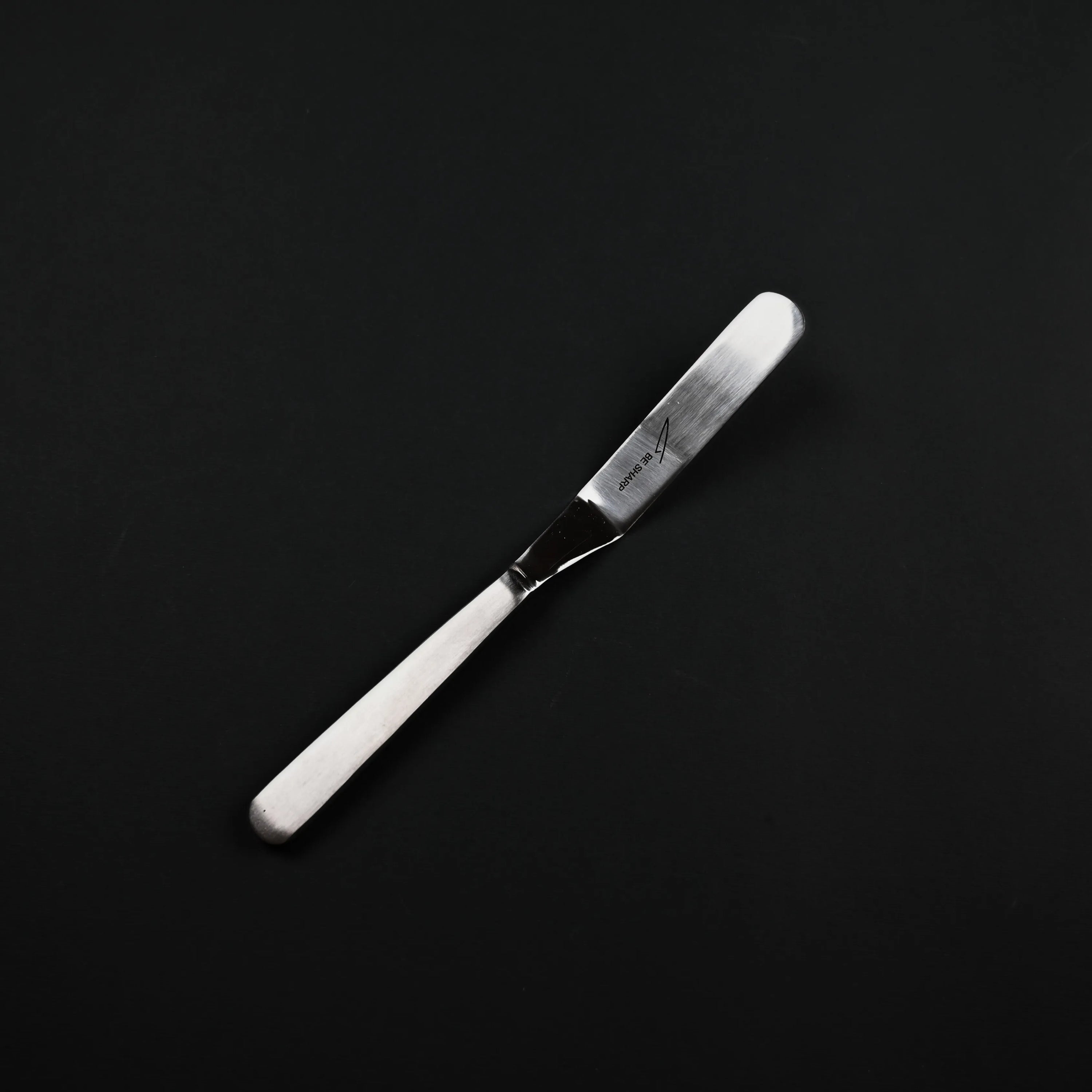Be Sharp spatula for serving - Silver