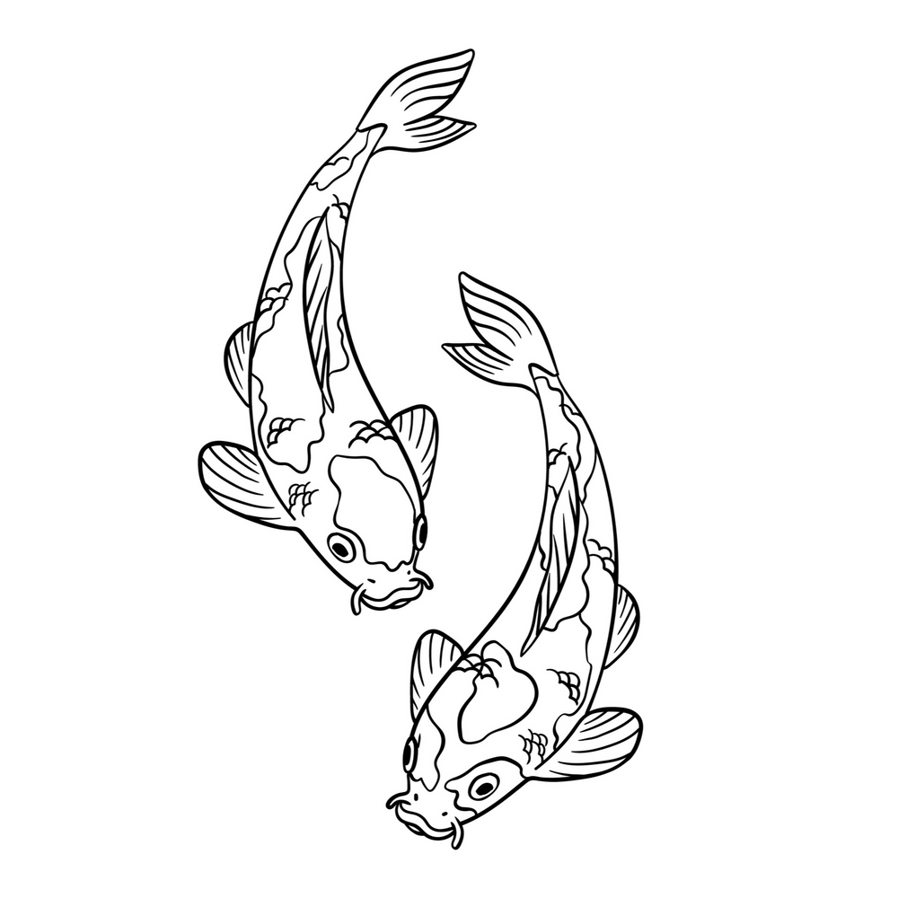 Koi ribice