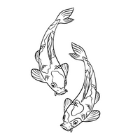 Koi ribice
