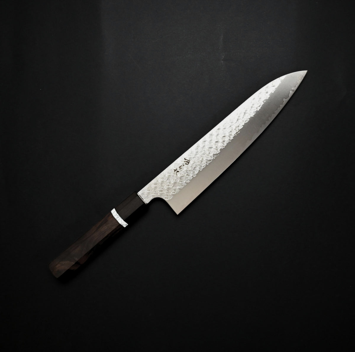 Tsunehisa Arare SG2 Hammered Gyuto 210mm